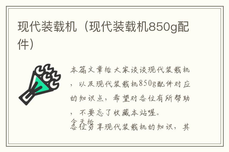 现代装载机（现代装载机850g配件）