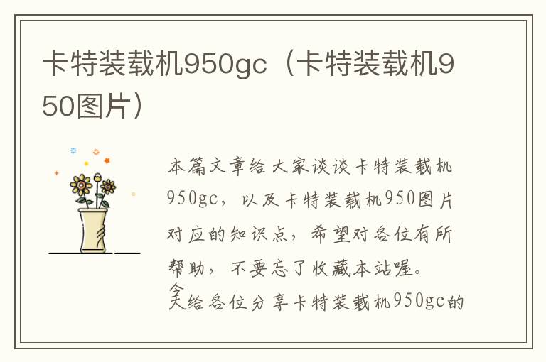 卡特装载机950gc（卡特装载机950图片）