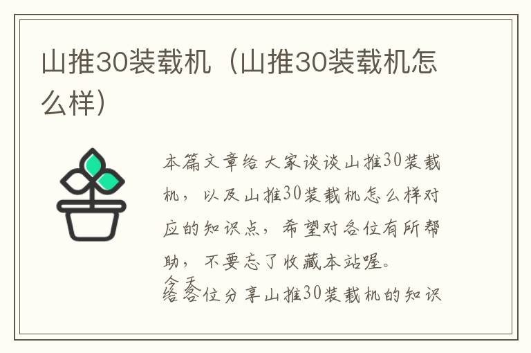 山推30装载机（山推30装载机怎么样）