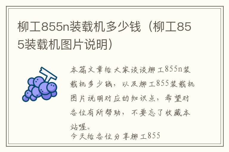 柳工855n装载机多少钱（柳工855装载机图片说明）