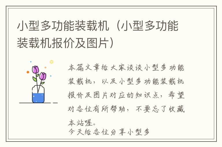 小型多功能装载机（小型多功能装载机报价及图片）