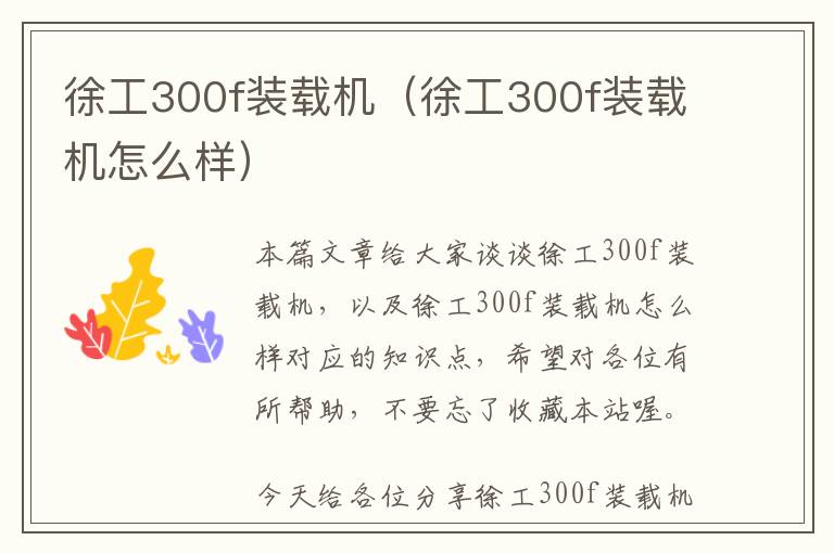 徐工300f装载机（徐工300f装载机怎么样）