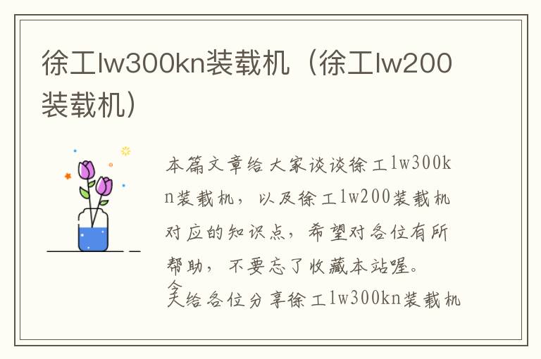 徐工lw300kn装载机（徐工lw200装载机）