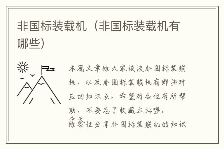 非国标装载机（非国标装载机有哪些）