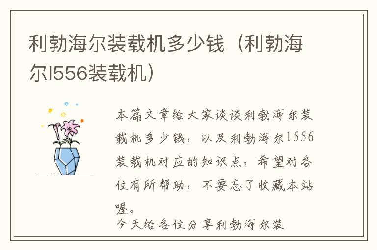 利勃海尔装载机多少钱（利勃海尔l556装载机）