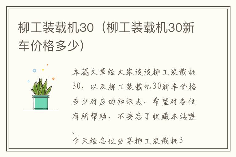 柳工装载机30（柳工装载机30新车价格多少）