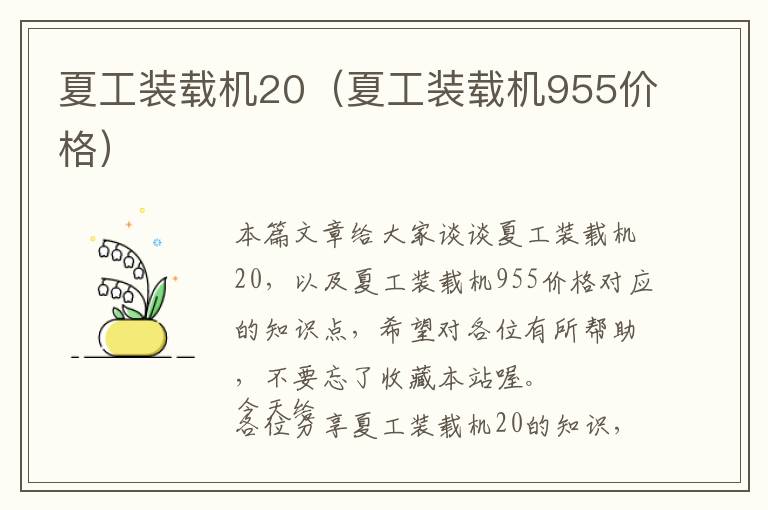 夏工装载机20（夏工装载机955价格）