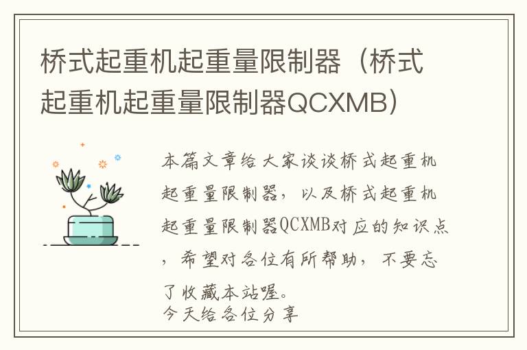 桥式起重机起重量限制器（桥式起重机起重量限制器QCXMB）