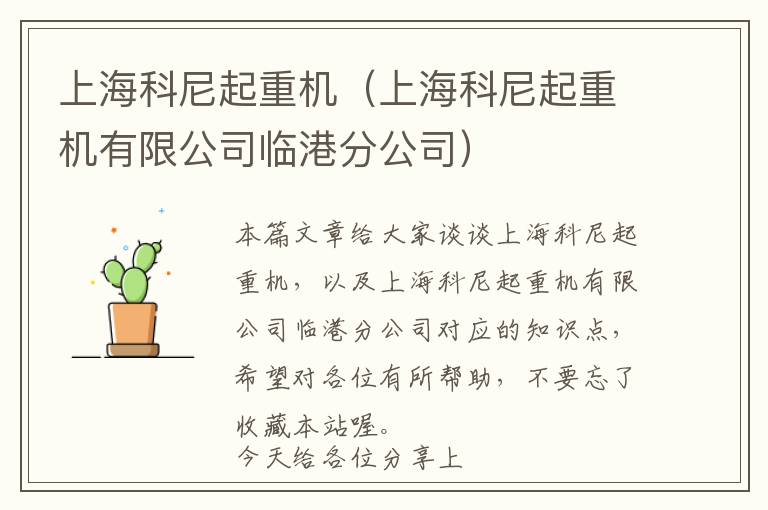 上海科尼起重机（上海科尼起重机有限公司临港分公司）