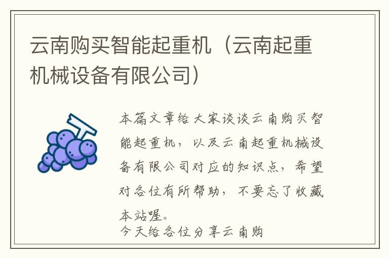 云南购买智能起重机（云南起重机械设备有限公司）