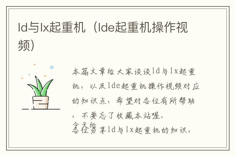 ld与lx起重机（lde起重机操作视频）