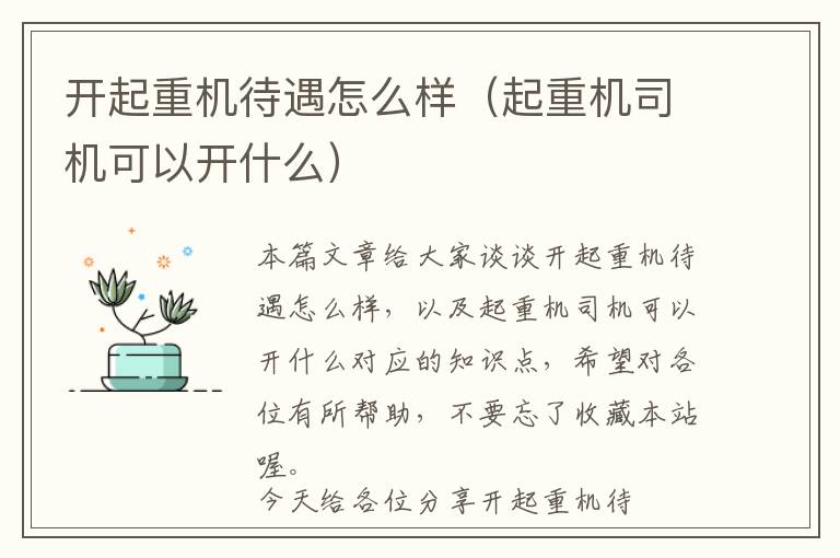 开起重机待遇怎么样（起重机司机可以开什么）