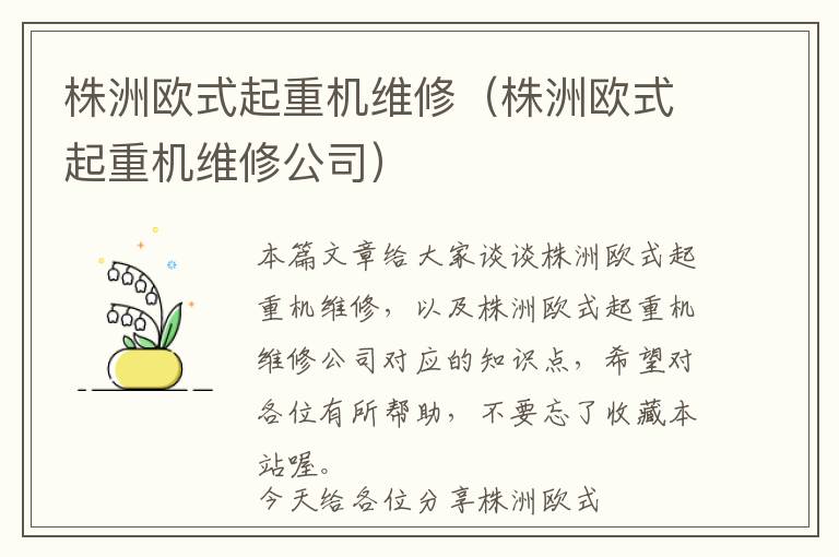 株洲欧式起重机维修（株洲欧式起重机维修公司）