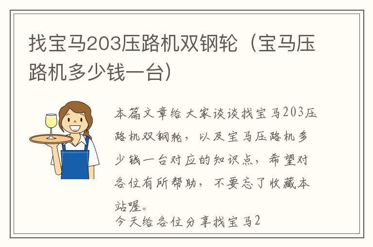 找宝马203压路机双钢轮（宝马压路机多少钱一台）