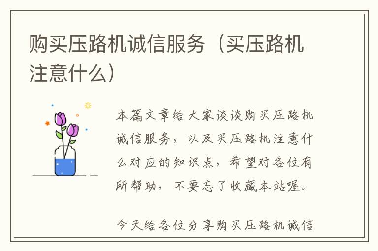 购买压路机诚信服务（买压路机注意什么）