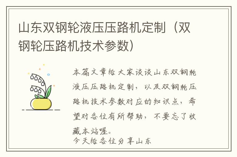 山东双钢轮液压压路机定制（双钢轮压路机技术参数）