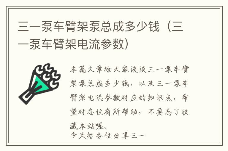 三一泵车臂架泵总成多少钱（三一泵车臂架电流参数）