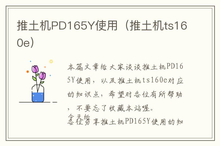 推土机PD165Y使用（推土机ts160e）