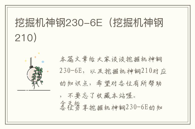 挖掘机神钢230-6E（挖掘机神钢210）