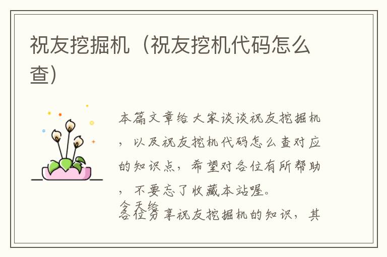 祝友挖掘机（祝友挖机代码怎么查）