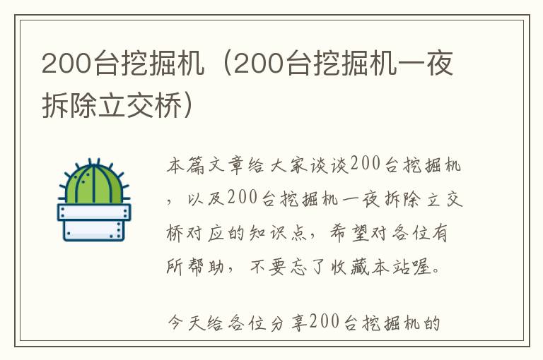 200台挖掘机（200台挖掘机一夜拆除立交桥）