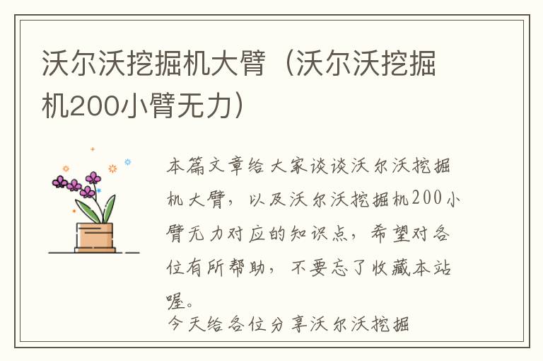 沃尔沃挖掘机大臂（沃尔沃挖掘机200小臂无力）