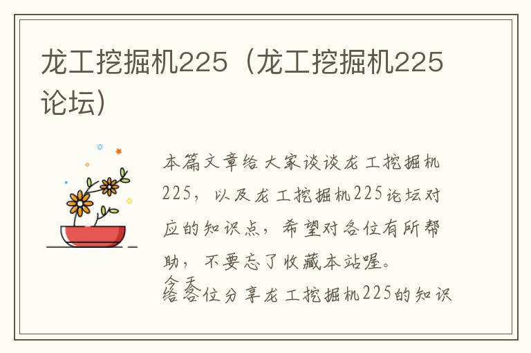 龙工挖掘机225（龙工挖掘机225论坛）