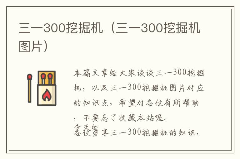 三一300挖掘机（三一300挖掘机图片）