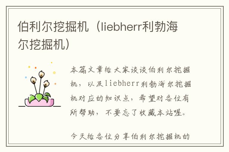 伯利尔挖掘机（liebherr利勃海尔挖掘机）