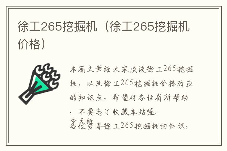 徐工265挖掘机（徐工265挖掘机价格）