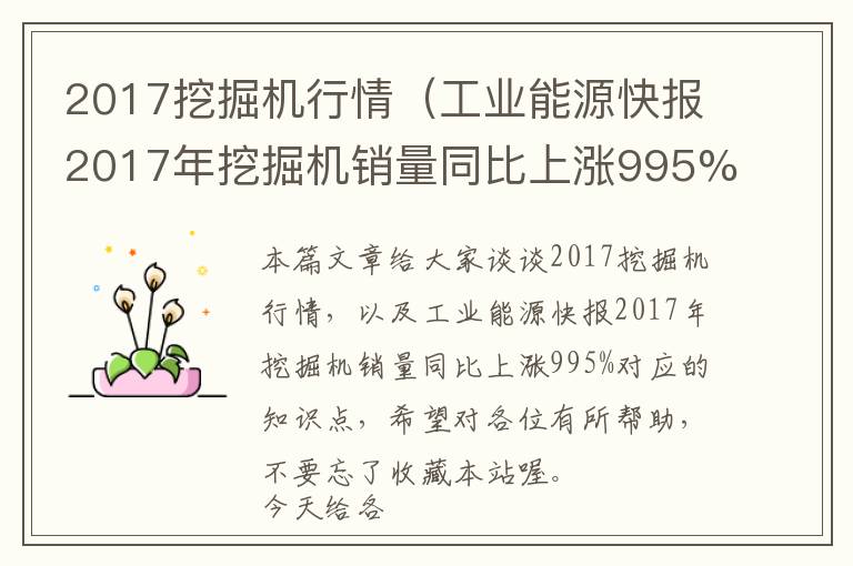 2017挖掘机行情（工业能源快报2017年挖掘机销量同比上涨995%）