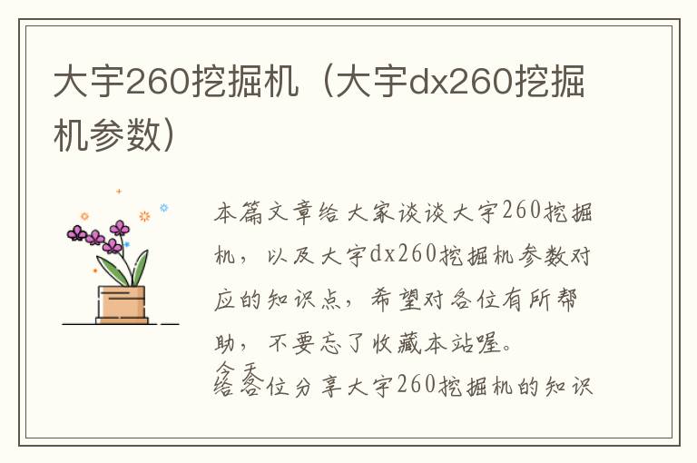 大宇260挖掘机（大宇dx260挖掘机参数）