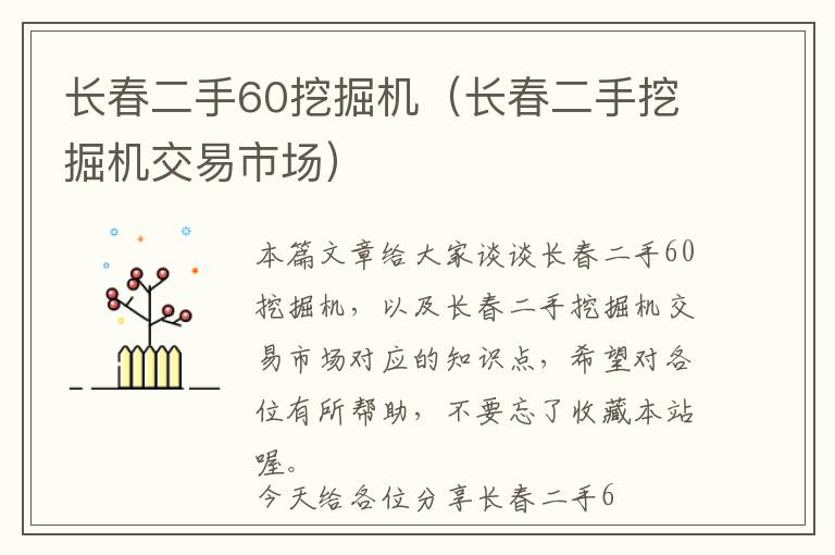 长春二手60挖掘机（长春二手挖掘机交易市场）